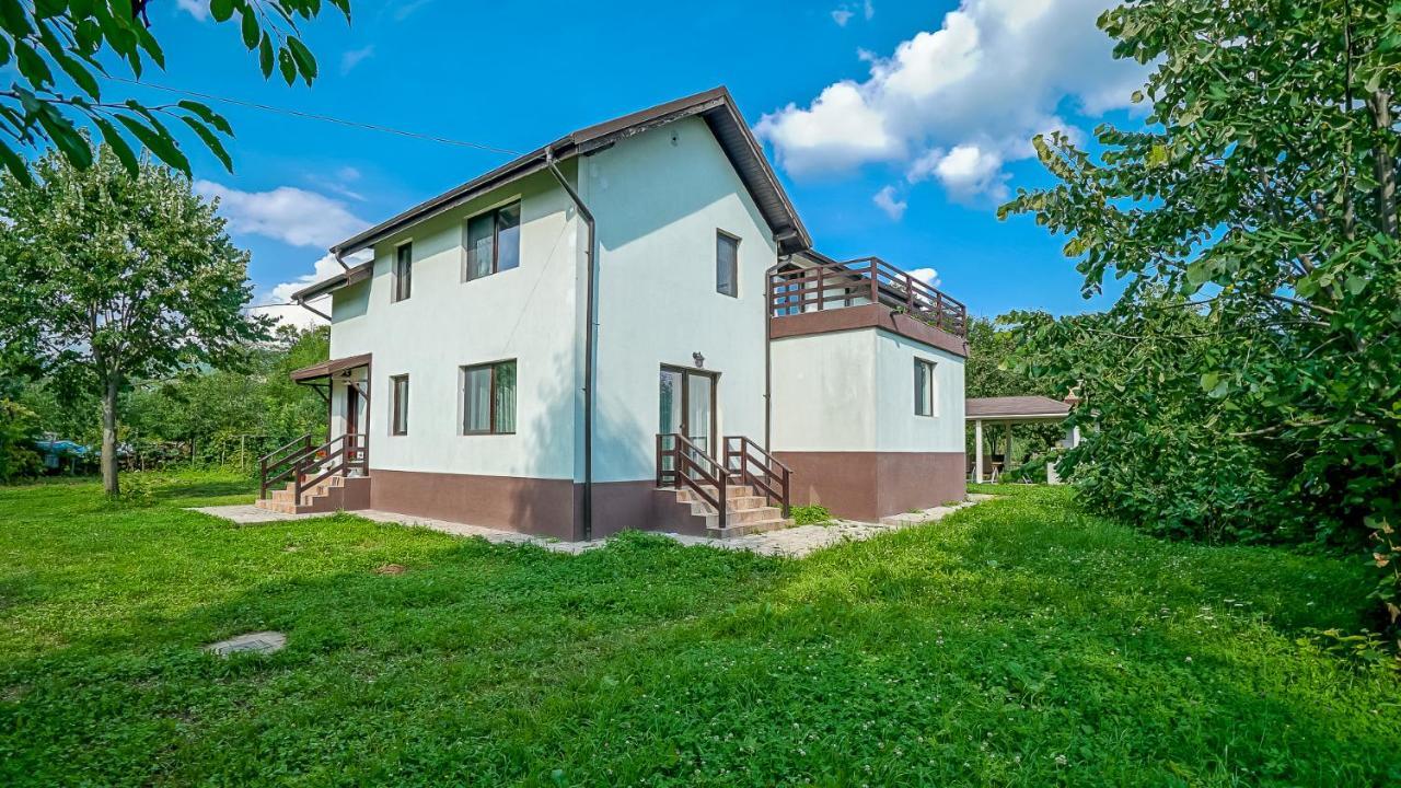 Vila Luna Comarnic Buitenkant foto